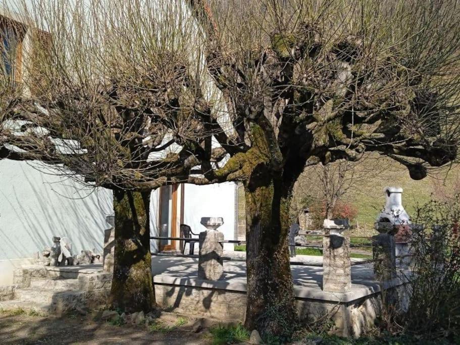 Gite A La Bonne Fermiere Nevy-Sur-Seille Exterior foto